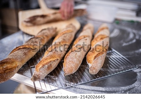 man takes out of the oven fresh wholemeal bread