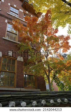 The buildings and autumn leaves of Jeongdong-gil, a street of traditional culture, are beautiful.