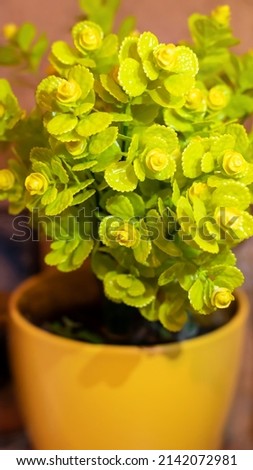 Green decorative artificial flower in a pot.