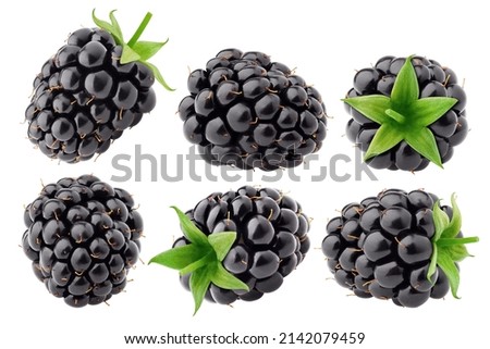 blackberry isolated on white background, clipping path, full depth of field Royalty-Free Stock Photo #2142079459