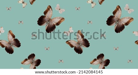 seamless butterfly vintage tropical pattern