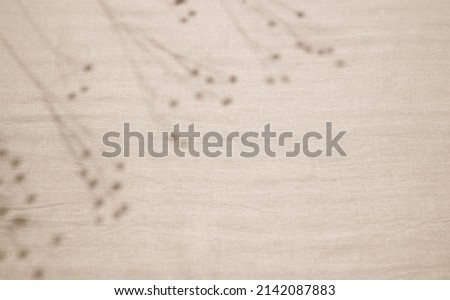 Abstract neutral background. Shadow from plants (flax sprigs) on beige fabric. Top view, free space for text. Shadow for natural light effects.