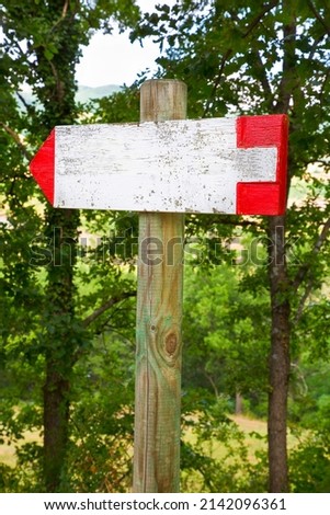 Weathered directional blank sign indicating hanging on wooden pole in a wood - image with copy space