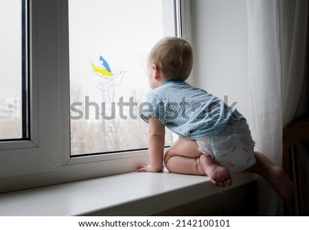 The kid is sitting on the window, and on the glass is a dove with wings of the color of the Ukrainian flag