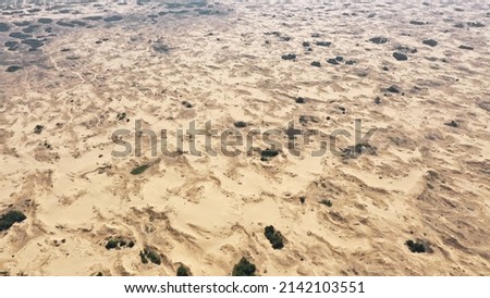 Aerial View of the Textures and Patterns of the Desert Sands. Beautiful landscape . Desert and green bushes.