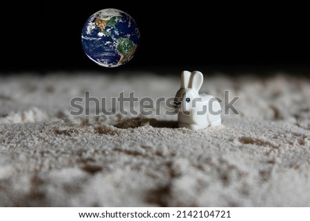 white rabbit on planet with earth. Elements of this image furnished by NASA