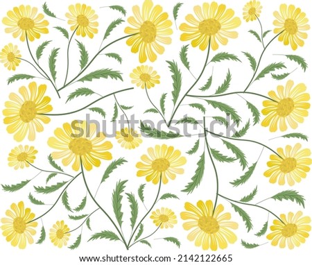 Symbol of Love, Background of Bright and Beautiful Yellow Daisy or Gerbera Flowers.
