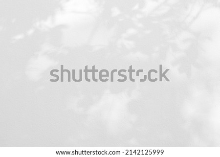 Seamless texture of white cement wall a rough surface and leaf shadow, with space for text, for a background Royalty-Free Stock Photo #2142125999