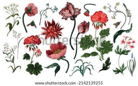 Botanical victorian flowers and bugs isolated. Tulip, peony and other Royalty-Free Stock Photo #2142139255