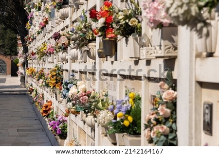 Italian wall cemetery with tombstones and artificial flowers on a sunny summer day in Venice, Italy, Island of San Michele. Commemoration of the dead, deaths of pandemic. Royalty-Free Stock Photo #2142164167