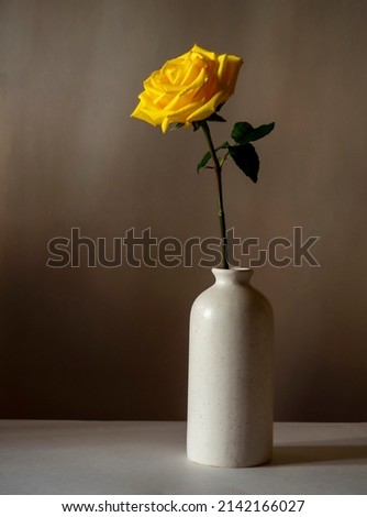 Yellow rose in a vase, still life.