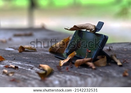 Fallen leaf on a wooden table and a cell phone with blur background
