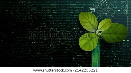 Carbon Neutral, ESG Concepts. Green Leaf inside a Computer Circuit Board. Growth. Environmental, Business and Technology Growth Together. Sustainable Resources