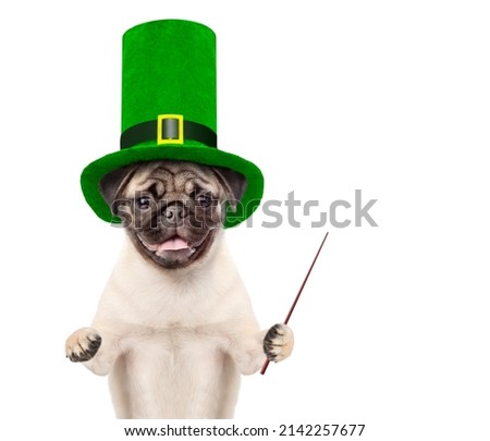 St Patrick's Day concept. Funny puppy in the hat of the leprechaun points away on empty space. isolated on white background
