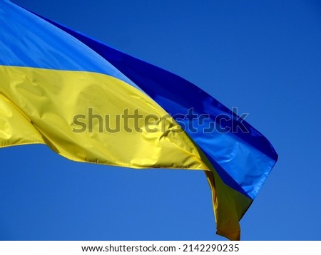 Ukrainian flags in the wind on a background of blue sky                           