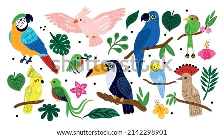 Tropical exotic birds. Cute colorful jungle animals. Palm leaves and flowers. Different parrots on rainforest branches. Toucan or hummingbirds. Vector decorative nature