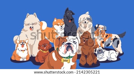 Cute dogs group portrait. Happy doggies, puppies of different breeds posing together. Funny canine animals gang with English Bulldog, Poodle, Corgi, Akita Inu. Isolated flat vector illustration