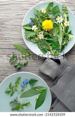 Healthy spring plants for food ingredients. Dandelion, wild garlic, flowers and nettle background Royalty-Free Stock Photo #2142318109