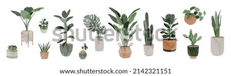 Potted plants collection on white background. Set of interior house plants with baskets, flower pot, monstera, leaves and foliage. Different home indoor green decor illustration for decoration, art. Royalty-Free Stock Photo #2142321151