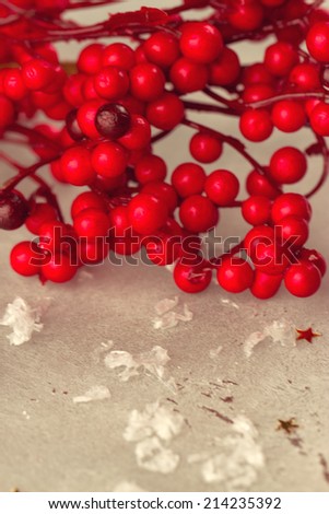 brunches of ash-berry on a white background