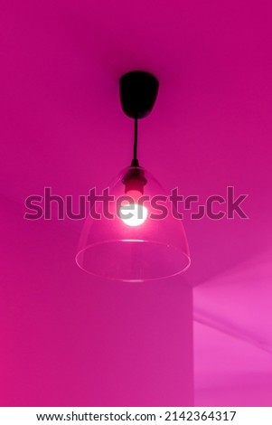 Lamp on the ceiling in the room in pink light