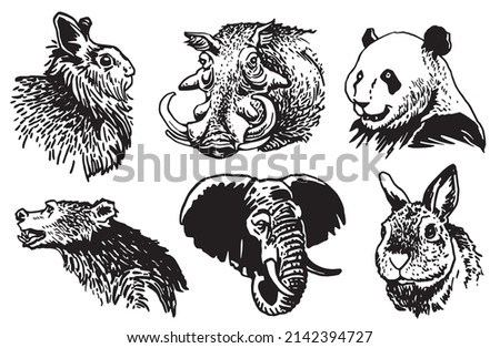 Graphical collection of African animals isolated on white background,vector zoo animals