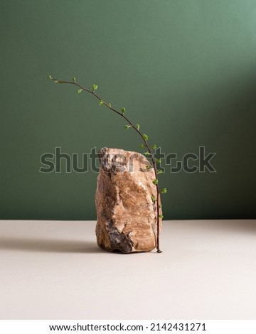 Still life photo. Minimalism still life with a green branch and brown stone. Spring still life photography Royalty-Free Stock Photo #2142431271