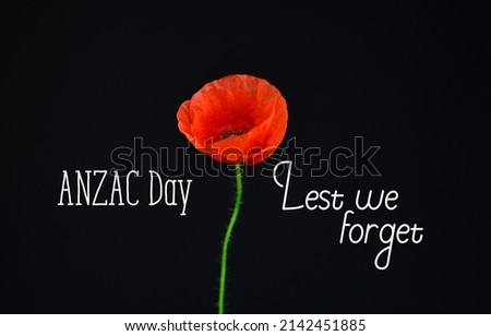 anzac day - Australian and New Zealand national public holiday, poppy flowers memorial background