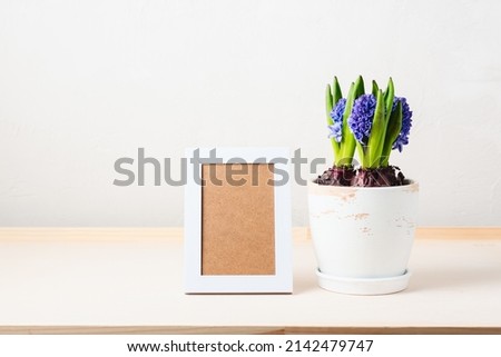 Potted blue hyacinth flowers and photo frame on a wooden table.
