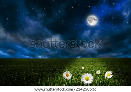 Daisy flower field in the nigh. Elements of this image furnished by NASA. Royalty-Free Stock Photo #214250536