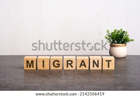 letters of the alphabet of migrant on wooden cubes, the reflection of the inscription on the dark surface. a green plant on a white background