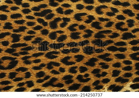 Close up black leopard spots texture design