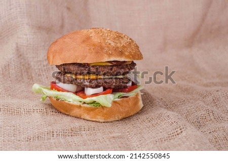 fresh tasty burger isolated on background
