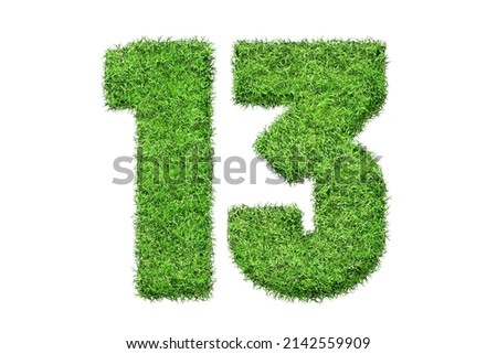13 number in green grass filled the character . Isolated from a white background