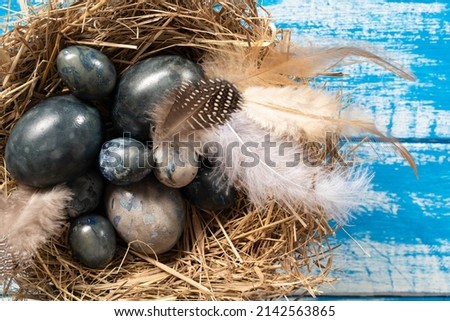 Marble blue Easter eggs in bird nest with feathers and spring flowers on blue background . Happy Easter holiday, top view, flat lay . Horizontal photo. Hibiscus eggs, naturally colored.