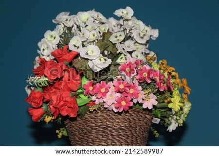 Red flowers in  the flowerpot . colors of flowers in different types.