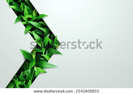 Natural concept, environment and organic products. Green abstract arrow, natural design. Natural design, flyer layout, marketing material, copy space Royalty-Free Stock Photo #2142600855