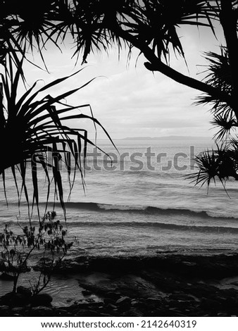 Black and white beach photo from Noosa National park.
