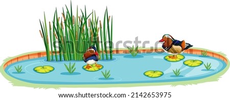 Ducks in a pond in cartoon style illustration