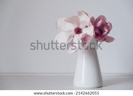 Beautiful fresh pastel pink magnolia flower in full bloom in vase against white background. Minimalist spring still life. Copy space for text.
