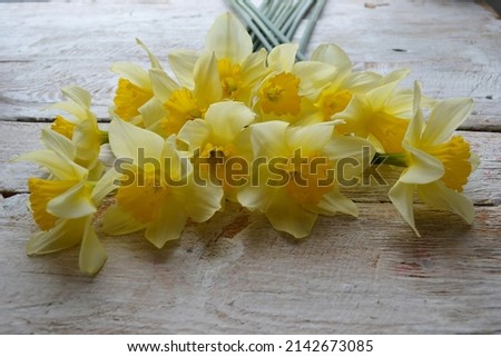 Yellow daffodils in a wooden background with copy space