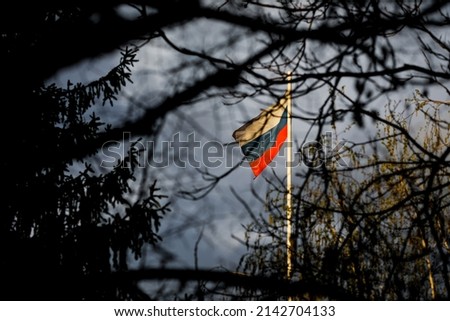 Russian flag on a pole waving in the wind, seen through many tree branches, with menacing rainy clouds in the background.