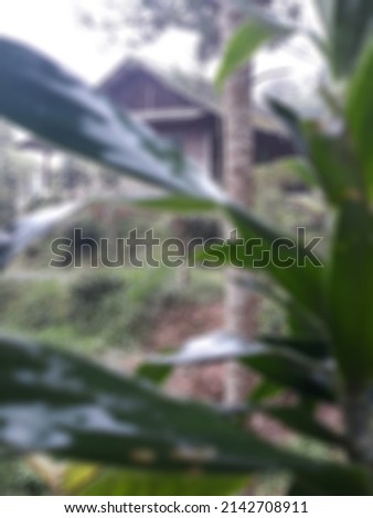 Defocused abstract background of the hut