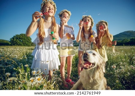 Children play with a dog in nature. High quality photo