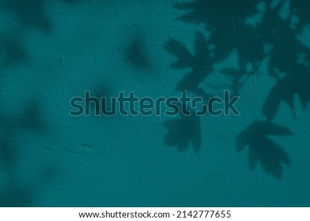Shadow of leaves on turquoise green teal concrete wall texture with roughness and irregularities. Abstract nature concept background. Copy space for text overlay, poster mockup flat lay  Royalty-Free Stock Photo #2142777655