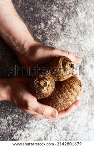 Taro vegetables holding by a man