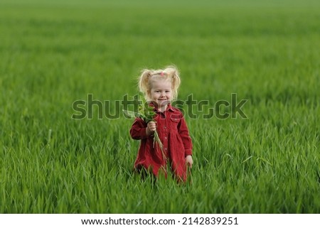 little happy girl who runs, jumps, has fun and fools around in the rain in a green field with wheat with an umbrella in her hands