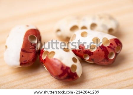 Beans with numerous holes made by insects. Spoiled white haricot on wooden table, macro photo