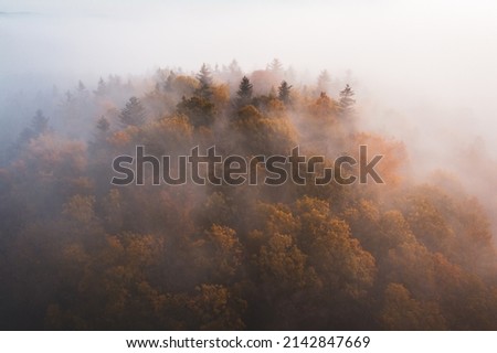 Aerial drone top down view of the trees and a fog, misty autumn weather, nice morning light