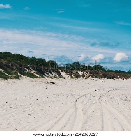 Dunes, overgrown with grass in places, car tracks on the sand. Blue sky with clouds